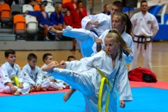 Световно първенство по борба Белград VIII ден /свободен стил финал за трето място Ахмед Батаев/