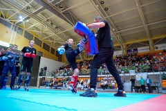 Световно първенство по борба Белград VIII ден /свободен стил финал за трето място Ахмед Батаев/